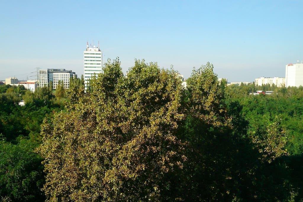 1 Bedroom Francuska Park Apartment Kattowitz Exterior foto